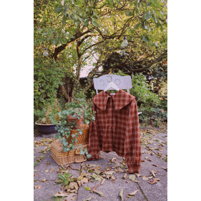 Autumn Air Plaid Blouse 