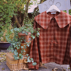 Autumn Air Plaid Blouse 