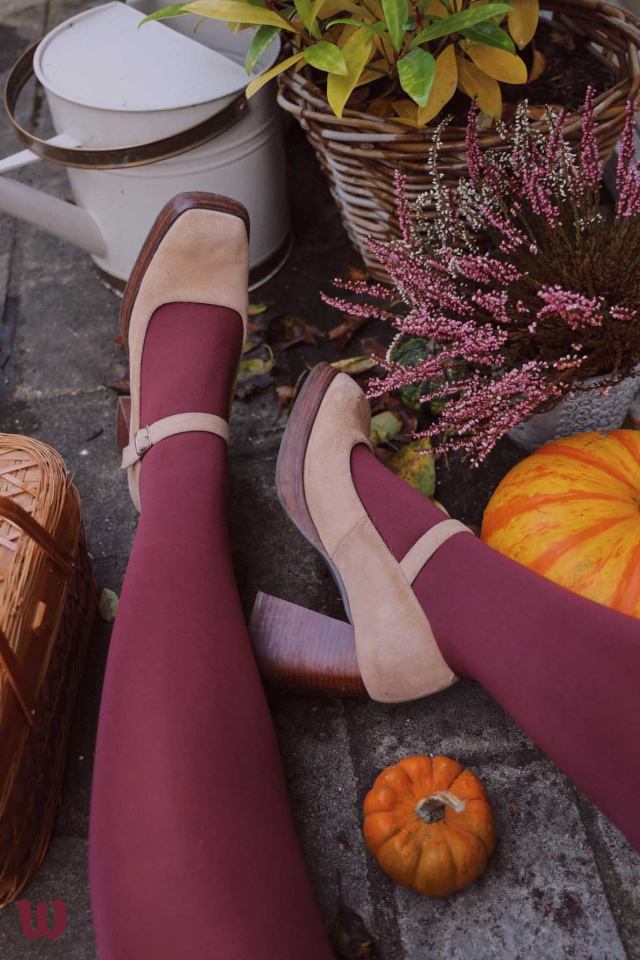 Burgundy Tights 60 den