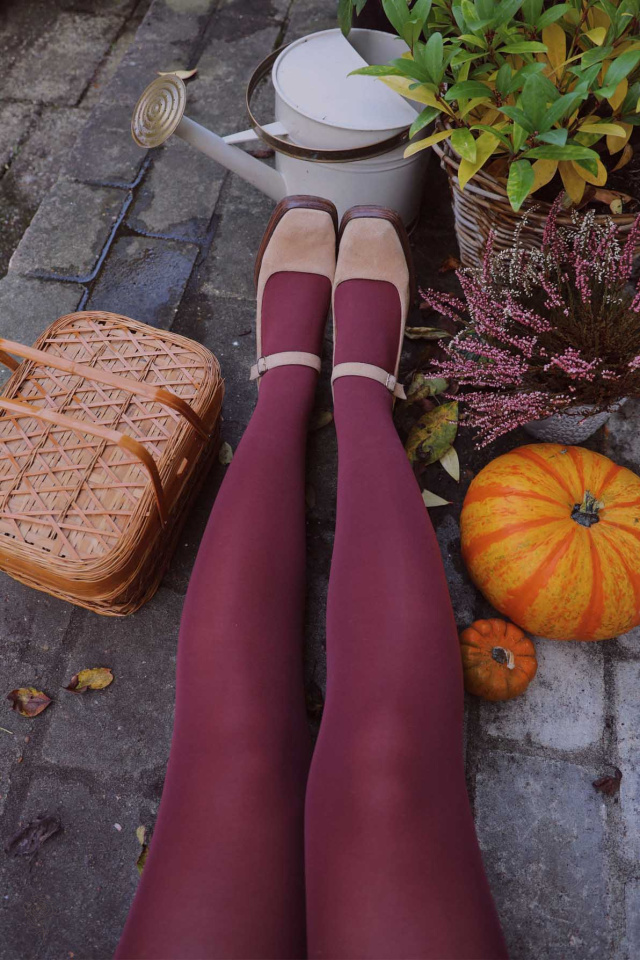 Burgundy Tights 60 den