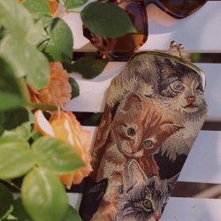 Cat - Glasses Pouch