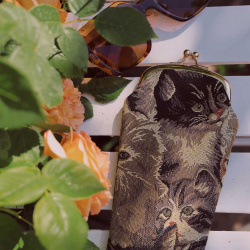Cat - Glasses Pouch