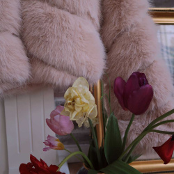 Champagne Celebrations S/M