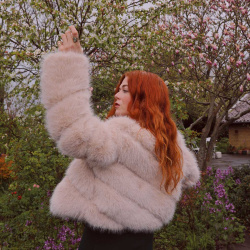 Champagne Celebrations S/M