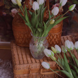 Forever Tulips White | Bouquet of 5