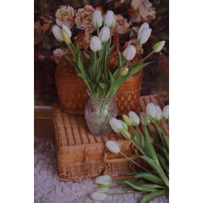 Forever Tulips White | Bouquet of 5