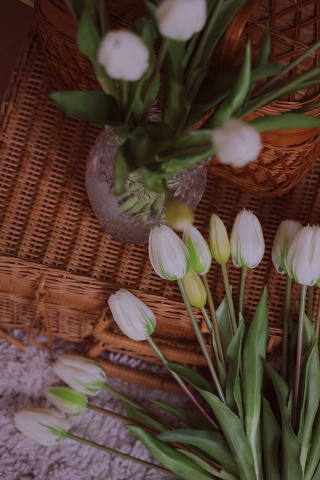 Forever Tulips White | Bouquet of 5