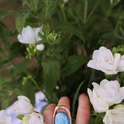 Ocean Wide | Elastic Ring 