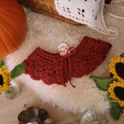 Rita's Burgundy Crochet Collar 