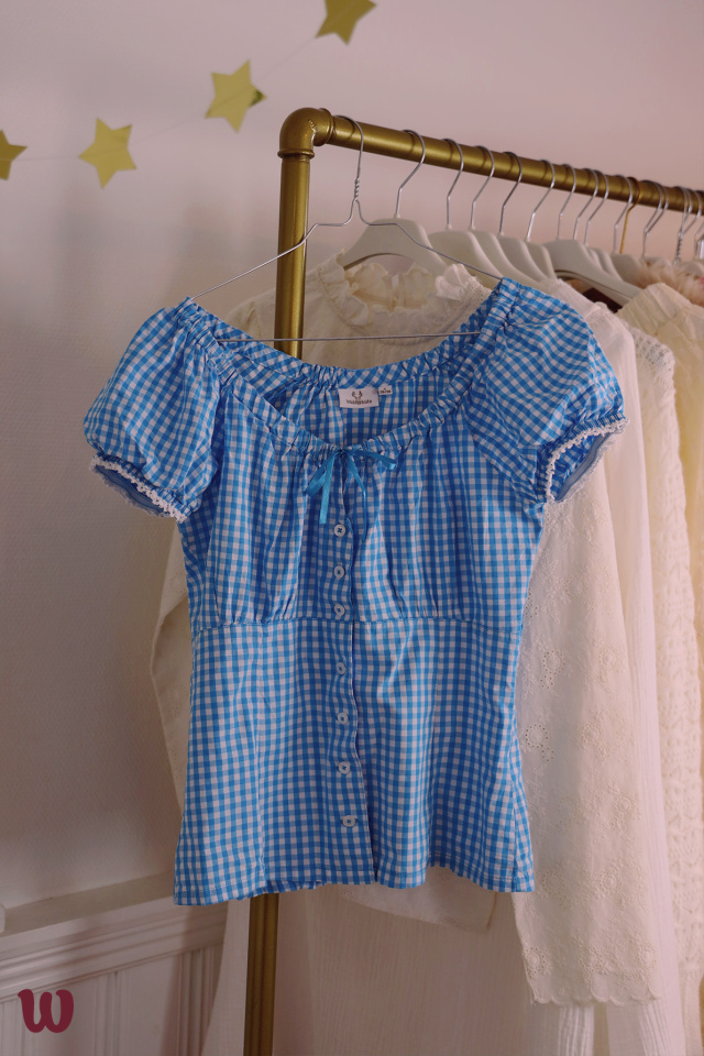 Light Blue Gingham Top | S
