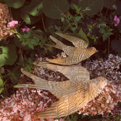 Small Brass Bird Wall Hanging