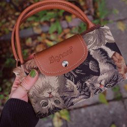Cat Lady Foldaway Bag