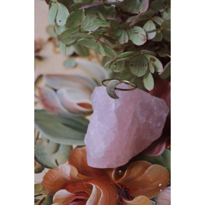 Delicate Moon Brass Ring