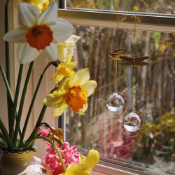 Suncatcher | Dragonfly or Bird