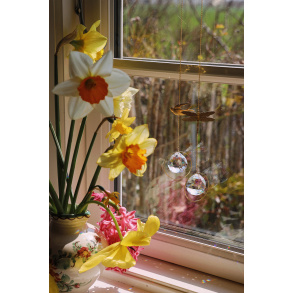 Suncatcher | Dragonfly or Bird