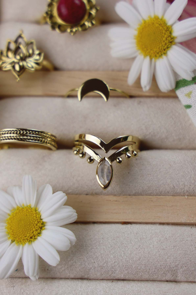 Take A Chance Jaw Dropping Ring 