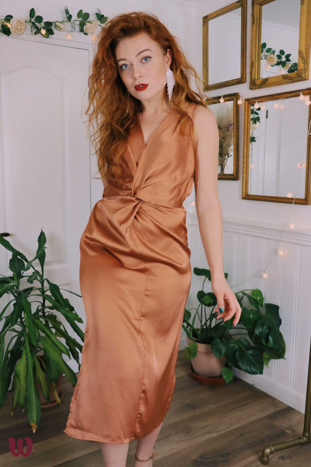 Glam Brown Autumn Dress 