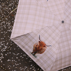 Highland Cow Folding Umbrella 