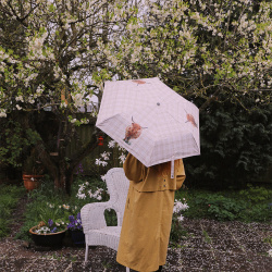 Highland Cow Folding Umbrella 