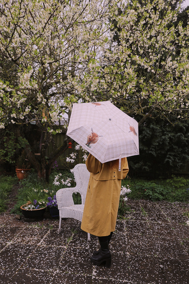 Highland Cow Folding Umbrella 