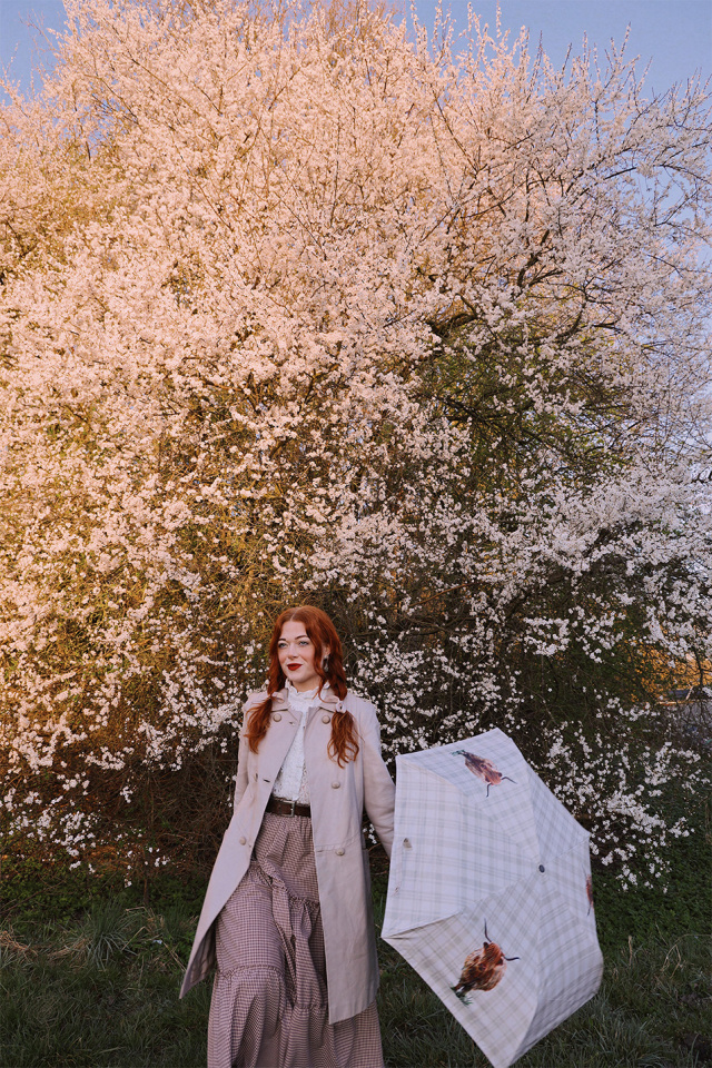 Highland Cow Folding Umbrella 