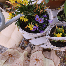 Mild Spring Mini Boho Dress | S/M