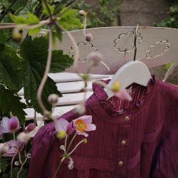 Plum Season Cotton Blouse 
