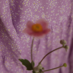 Purple Summer Blossom Mini Dress