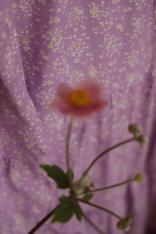 Purple Summer Blossom Mini Dress