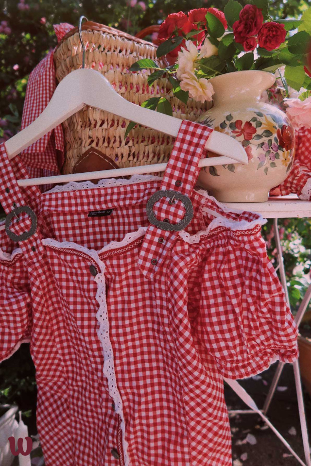 Red &amp; White Gingham vintage Top | L