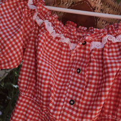 Red Checkered Vintage Top | S