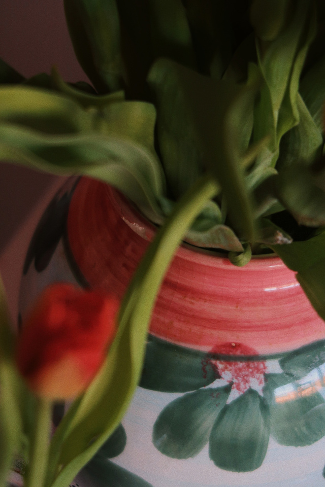 Handpainted Round Vase 