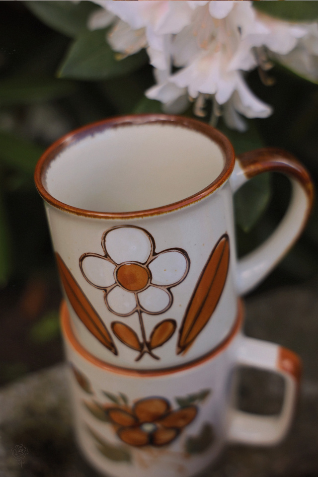 Set of Two Handpainted Retro Mugs 
