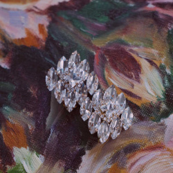 Silver Glass Clip On Earrings 