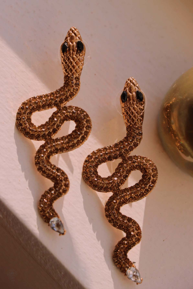 Sneeky Snakey Earrings