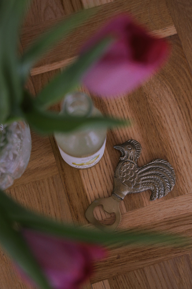 Spring Hen Metal Bottle Opener