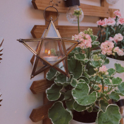 SPRING OFFER! Star Brass Lantern 
