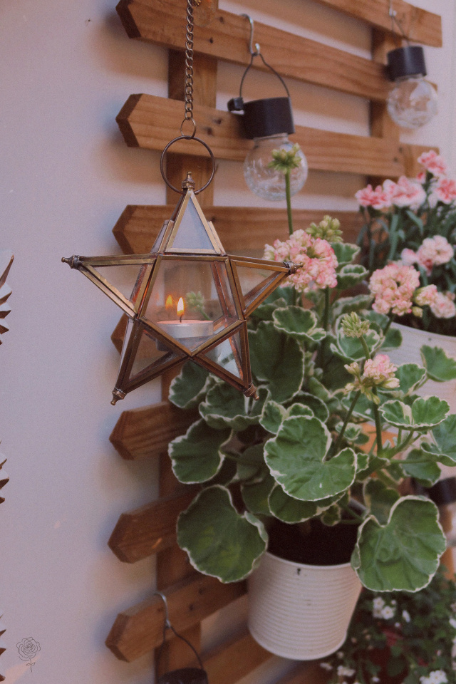 SPRING OFFER! Star Brass Lantern 