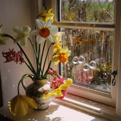 Suncatchers | Balloon &amp; Butterfly