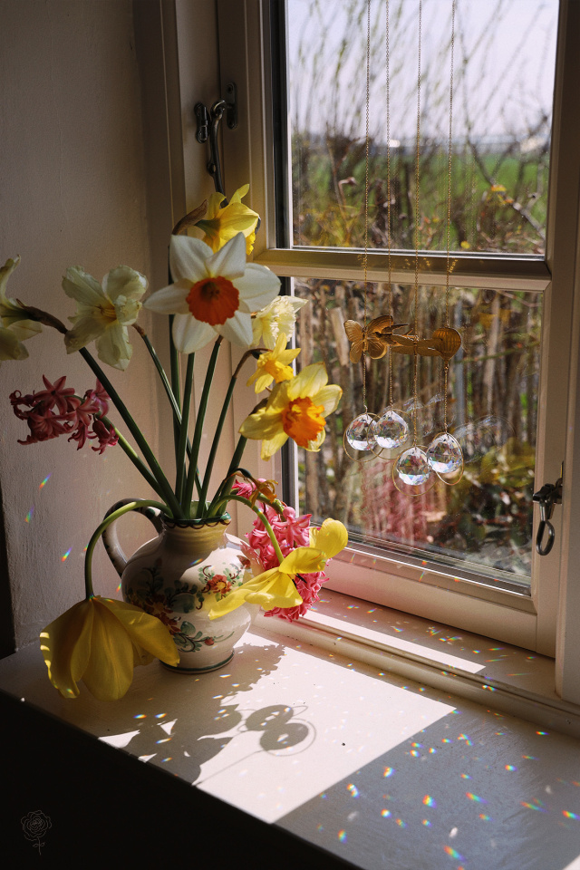 Suncatchers | Balloon &amp; Butterfly