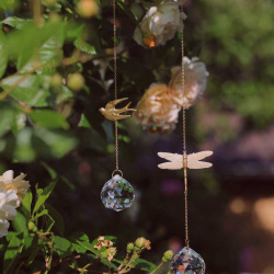 Suncatchers | Dragonfly or Bird
