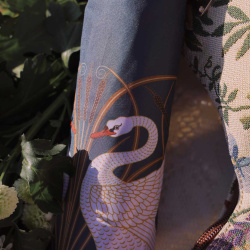 Swan Art Folding Umbrella 