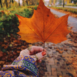 Take A Chance Jaw Dropping Ring 