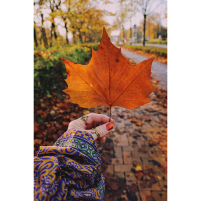 Take A Chance Jaw Dropping Ring 