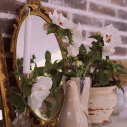 Trudy Bird Stoneware 