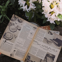 Danish Vintage Women Magazines 1955