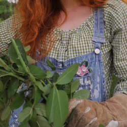 Watering Can Brooch