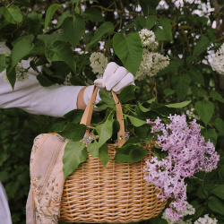 Braided Raffia Everyday Bag