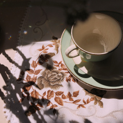 12 x White Brown Rose Vintage Napkins or Placement Mats